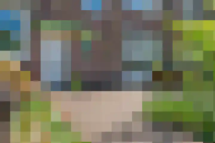 Nachtegaallaan 9 Leiden thumbnail 4