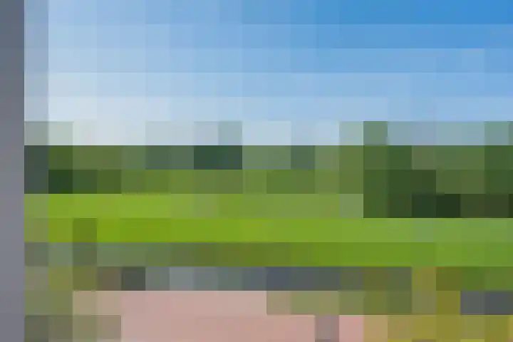 Nachtegaallaan 9 Leiden thumbnail 48