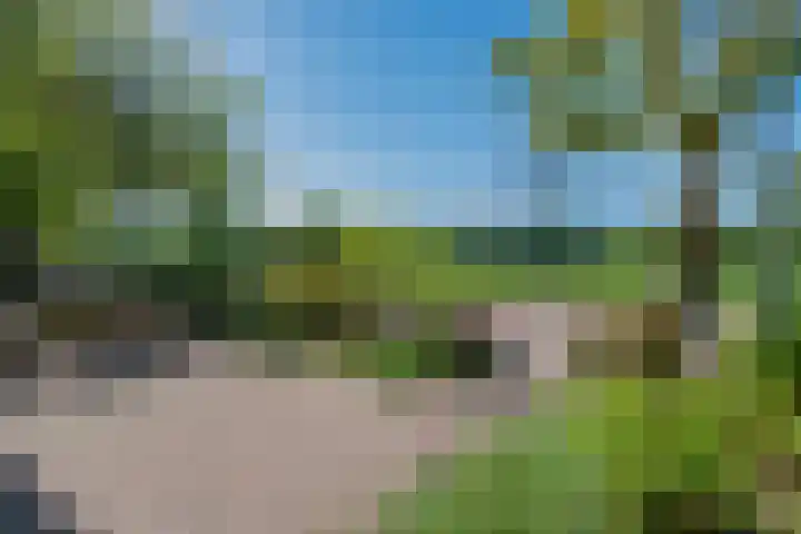 Nachtegaallaan 9 Leiden thumbnail 5