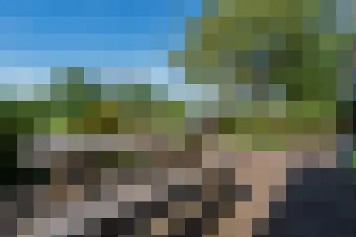 Nachtegaallaan 9 Leiden thumbnail 6