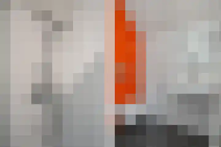 Nachtegaallaan 9 Leiden thumbnail 60