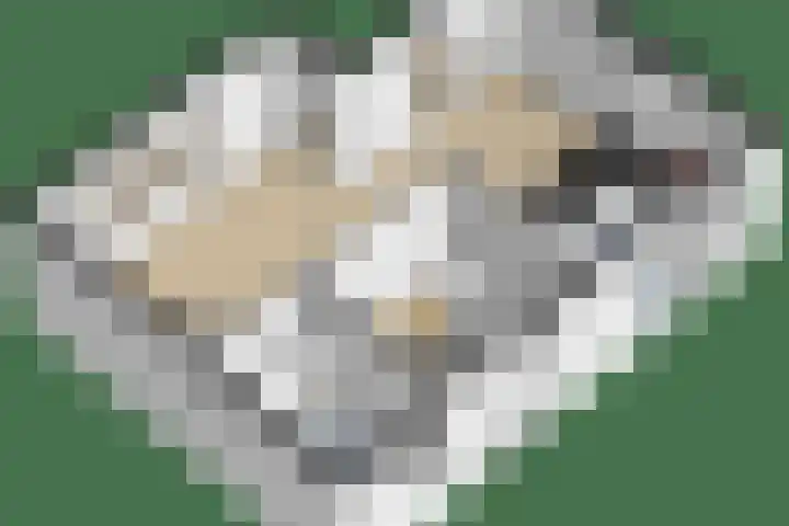Nachtegaallaan 9 Leiden thumbnail 62