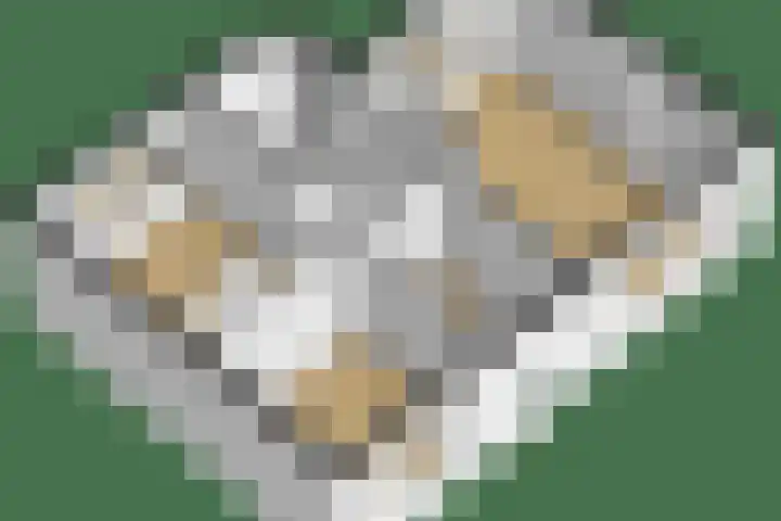 Nachtegaallaan 9 Leiden thumbnail 65