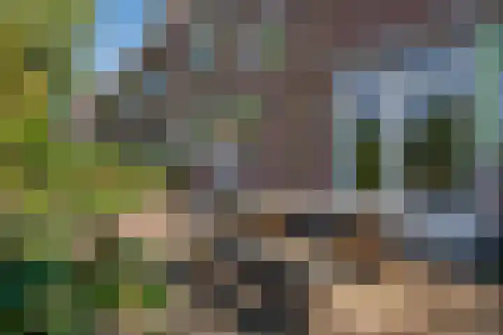 Nachtegaallaan 9 Leiden thumbnail 7