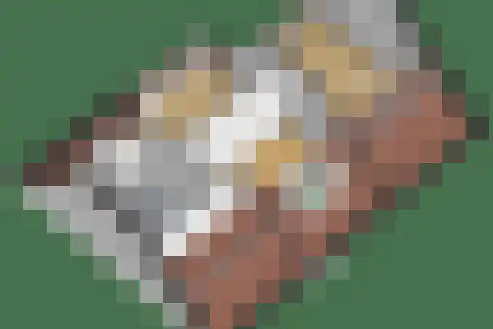 Nachtegaallaan 9 Leiden thumbnail 70