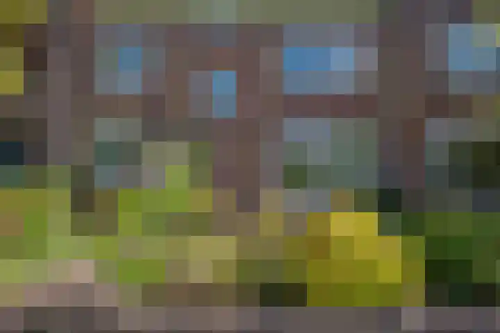 Nachtegaallaan 9 Leiden thumbnail 8