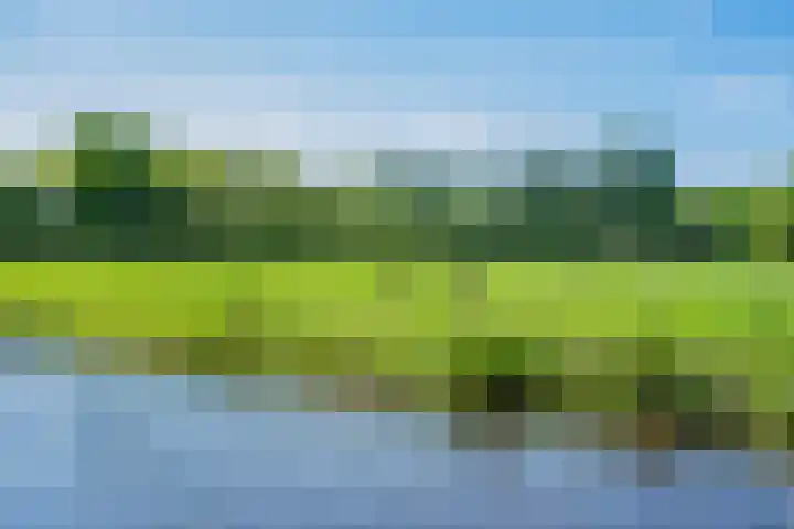 Nachtegaallaan 9 Leiden thumbnail 9