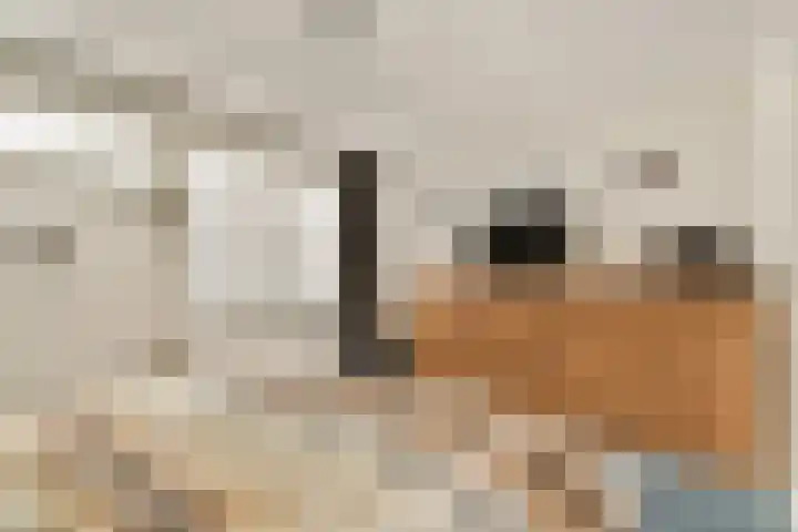 Nachtegaallaan 90 Bleiswijk thumbnail 20