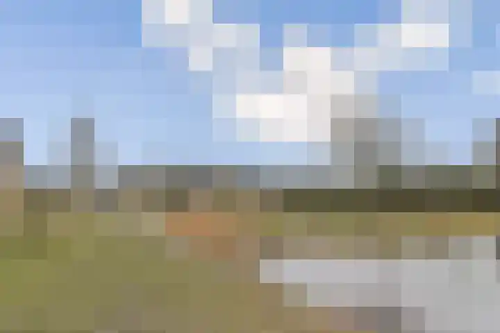 Nachtegaallaan 90 Bleiswijk thumbnail 29