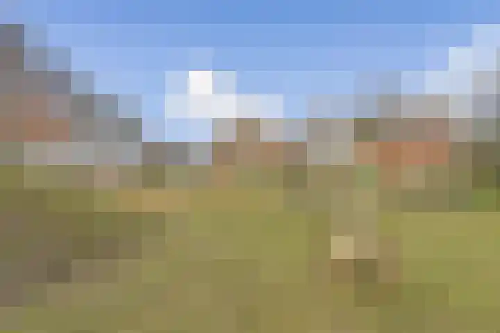Nachtegaallaan 90 Bleiswijk thumbnail 30