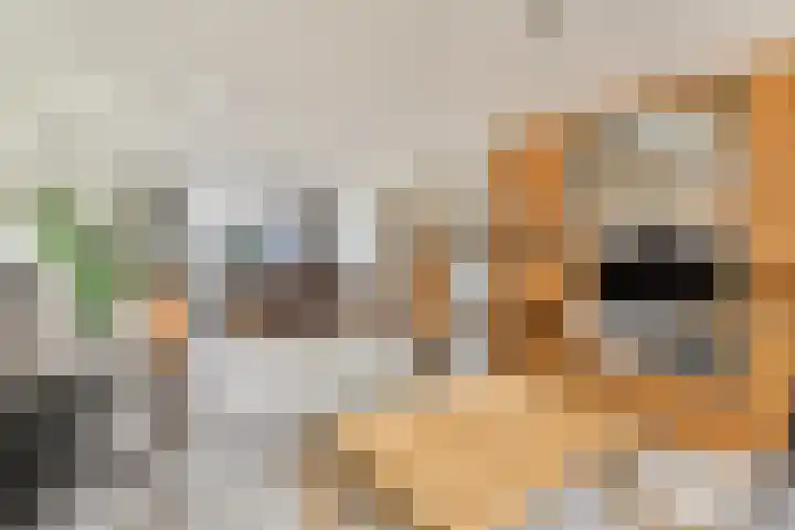 Nachtegaallaan 90 Bleiswijk thumbnail 7