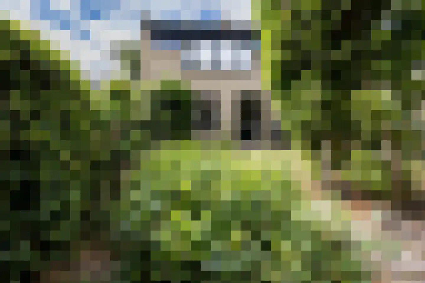 Nachtegaallaan 94 Bleiswijk thumbnail 18