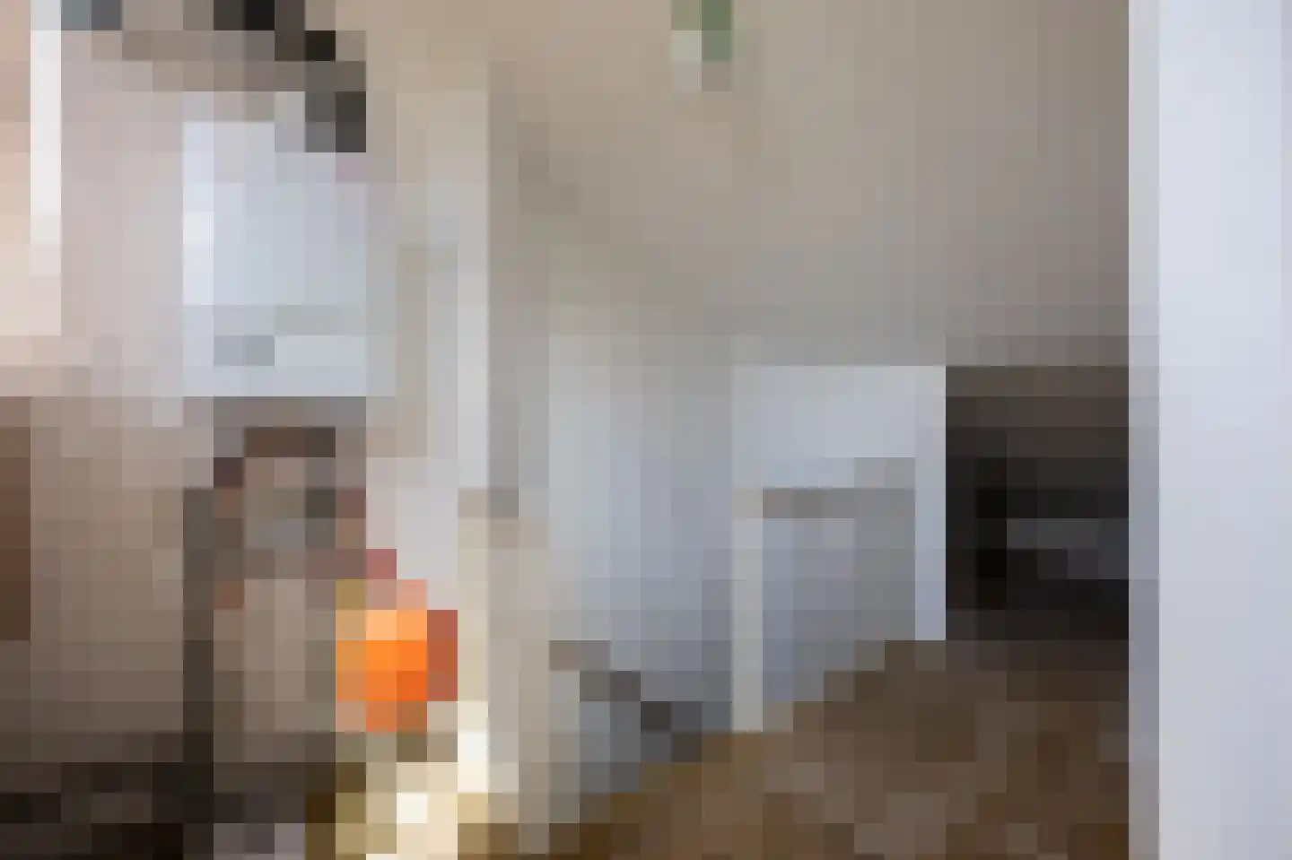 Nachtegaallaan 94 Bleiswijk thumbnail 31