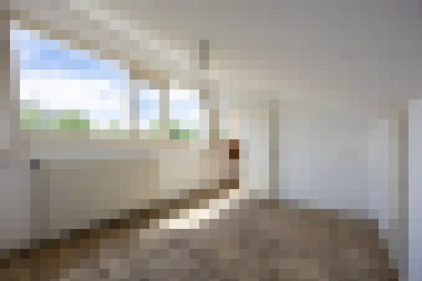 Nachtegaallaan 94 Bleiswijk thumbnail 34