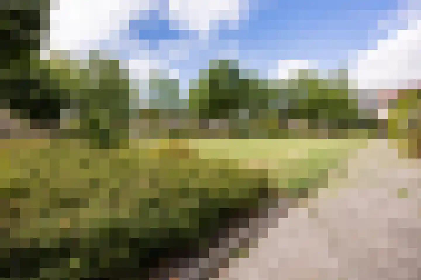 Nachtegaallaan 94 Bleiswijk thumbnail 37