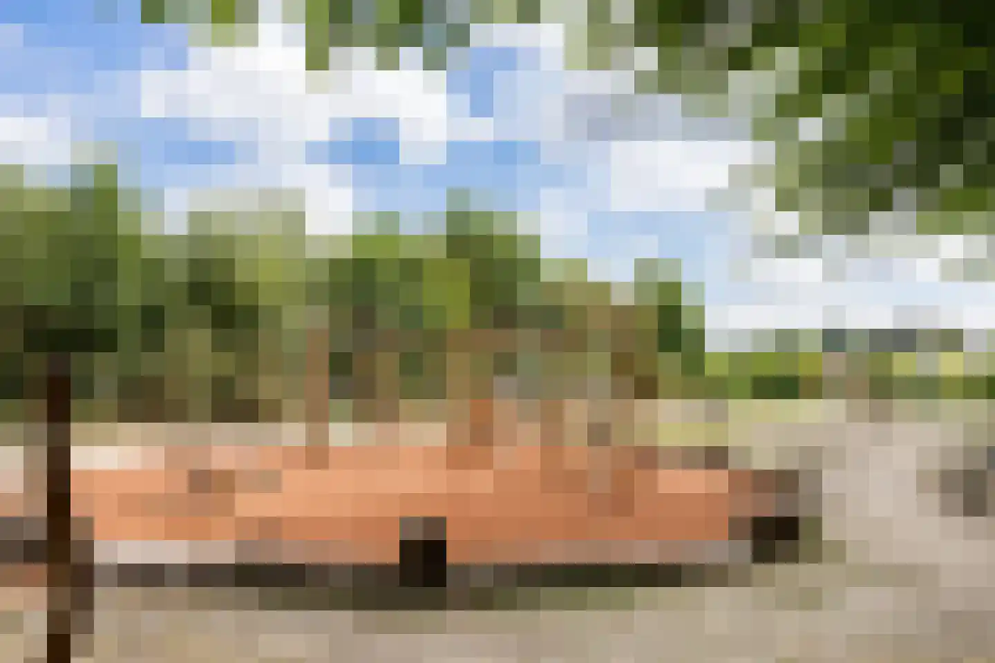 Nachtegaallaan 94 Bleiswijk thumbnail 38