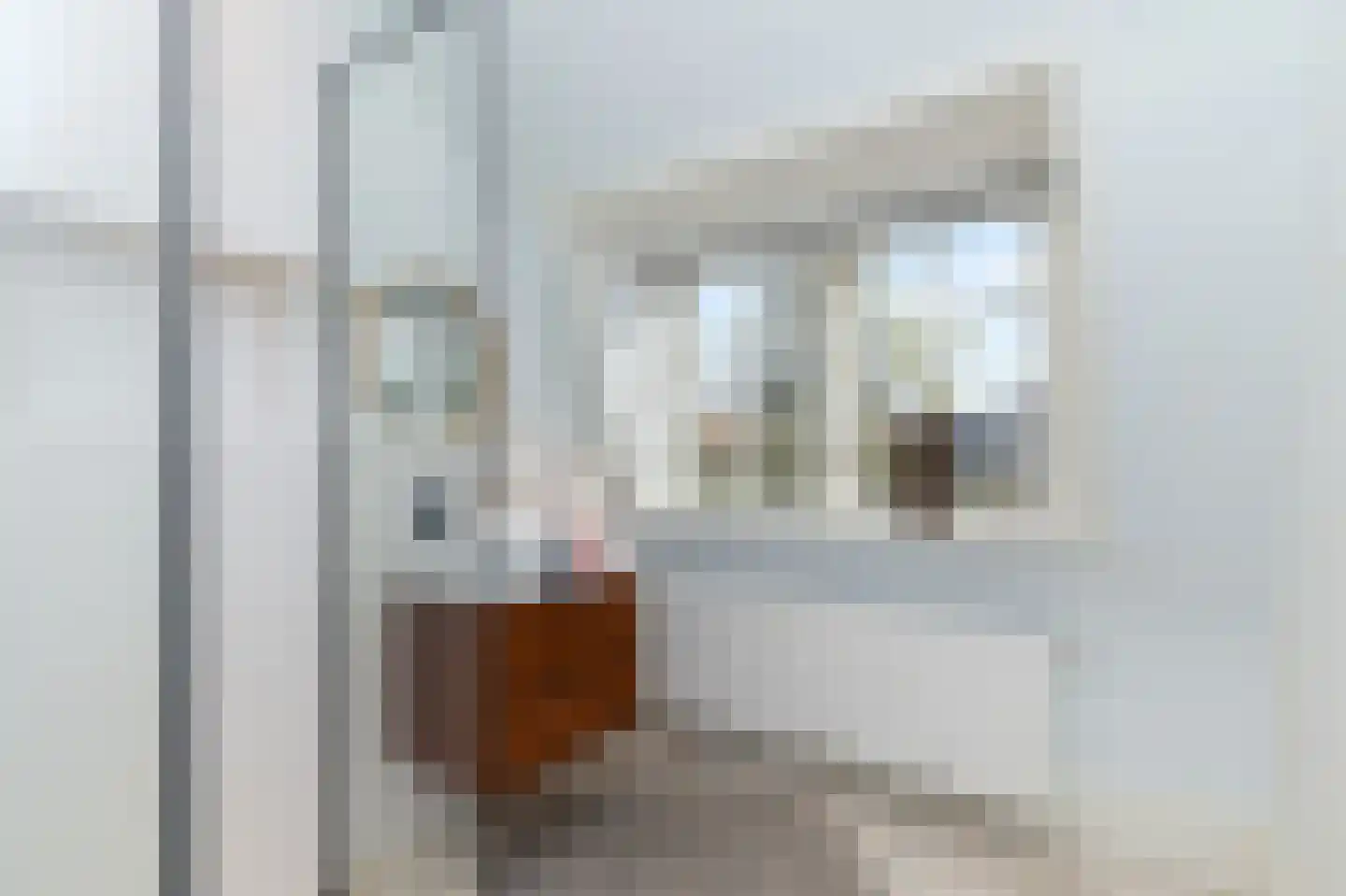 Nachtegaalplein 15 Den Haag thumbnail 64