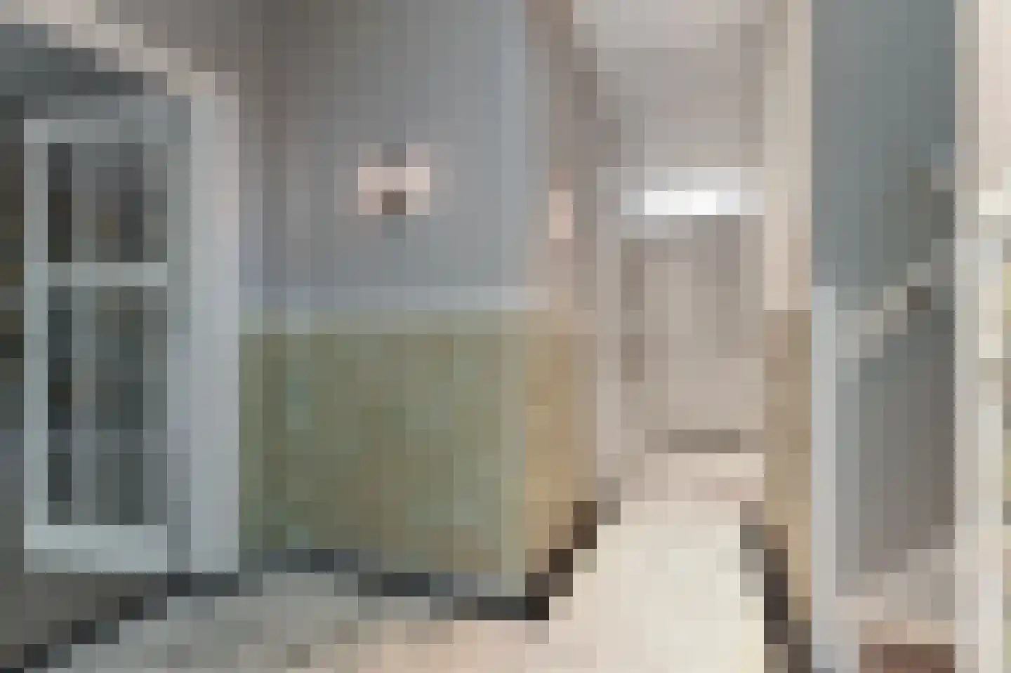 Nachtegaalplein 15 Den Haag thumbnail 9