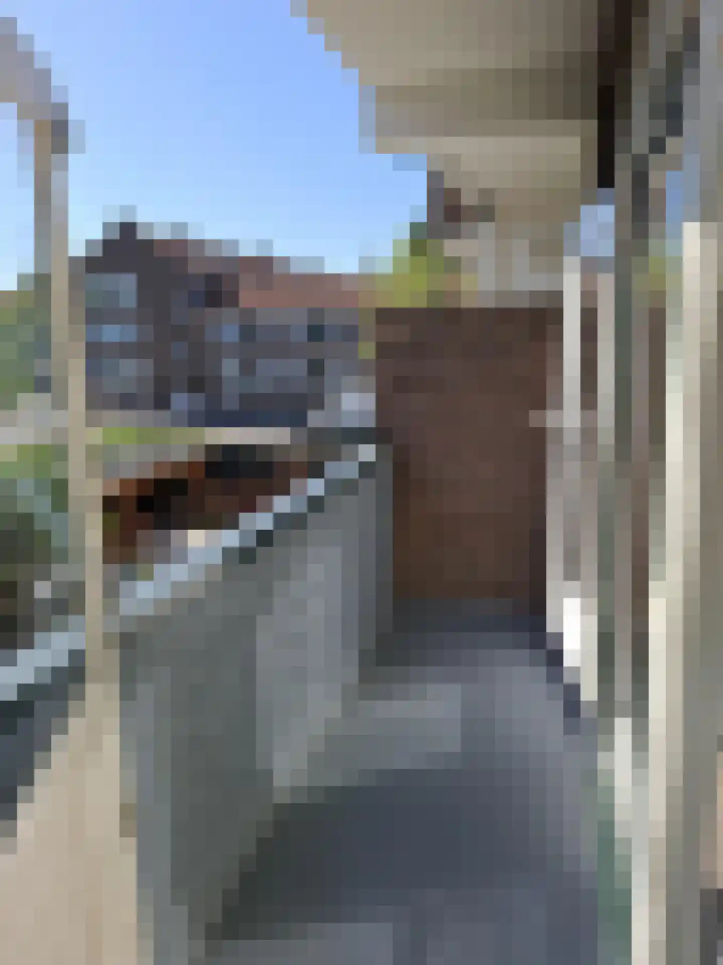 Nachtegaalplein 18 B Rotterdam thumbnail 9