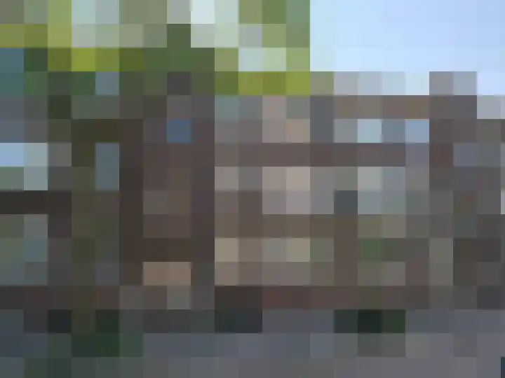 Nachtegaalplein 2 B in Rotterdam