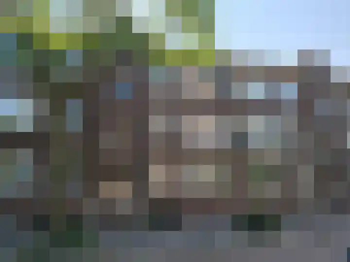 Nachtegaalplein 2 B Rotterdam thumbnail 21