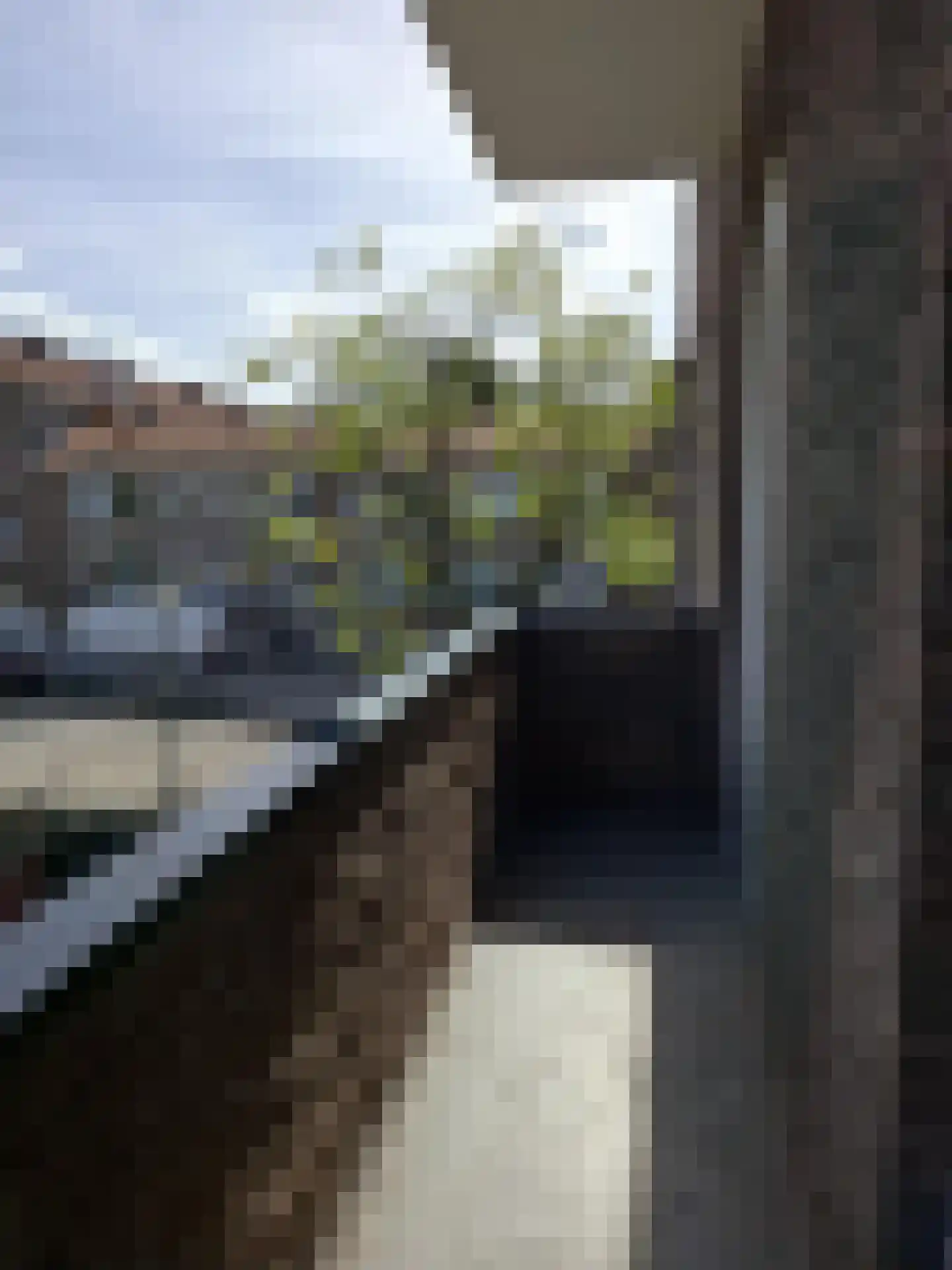 Nachtegaalplein 20 B Rotterdam thumbnail 11