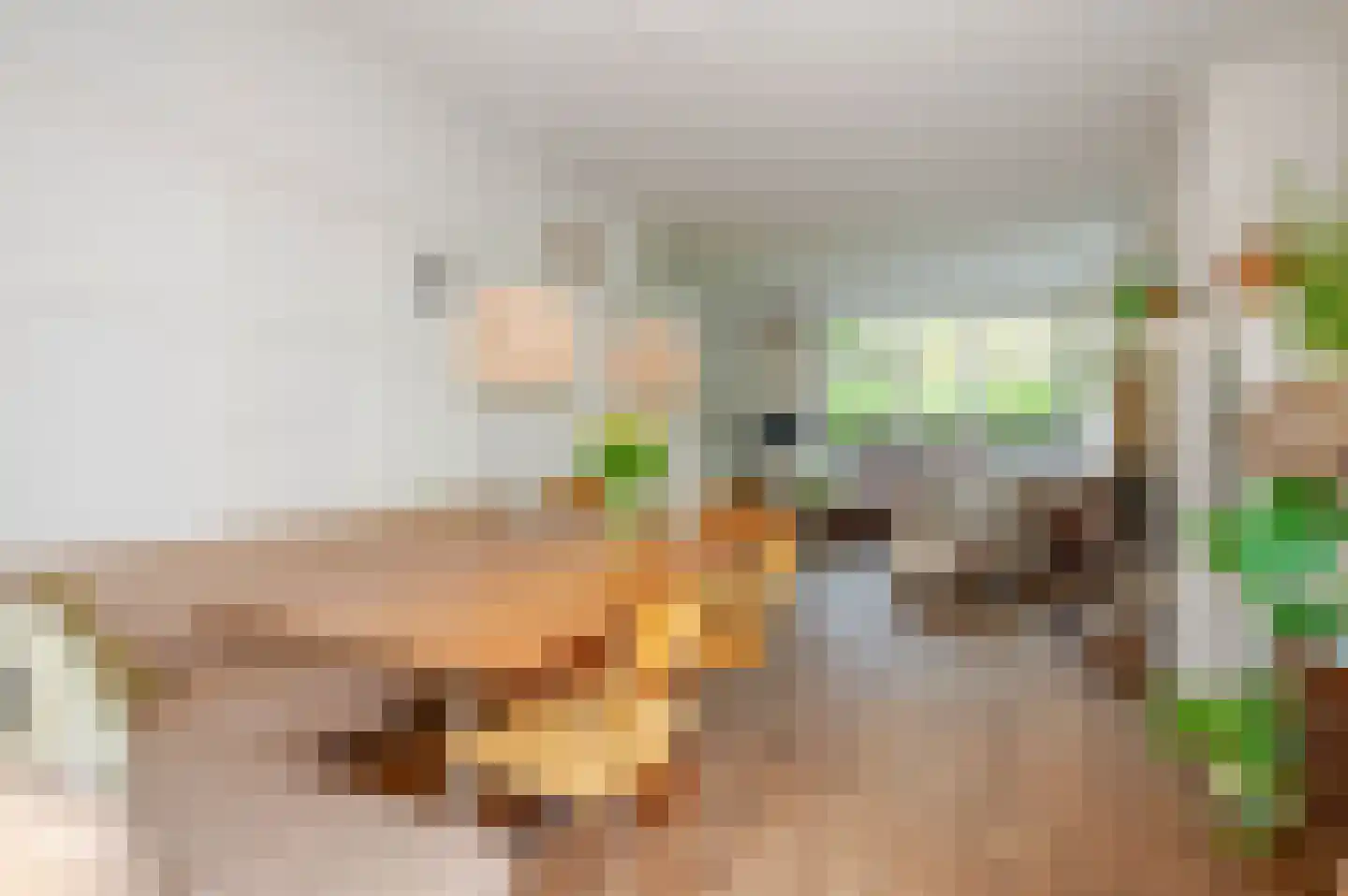 Nachtegaalplein 22 Den Haag thumbnail 18