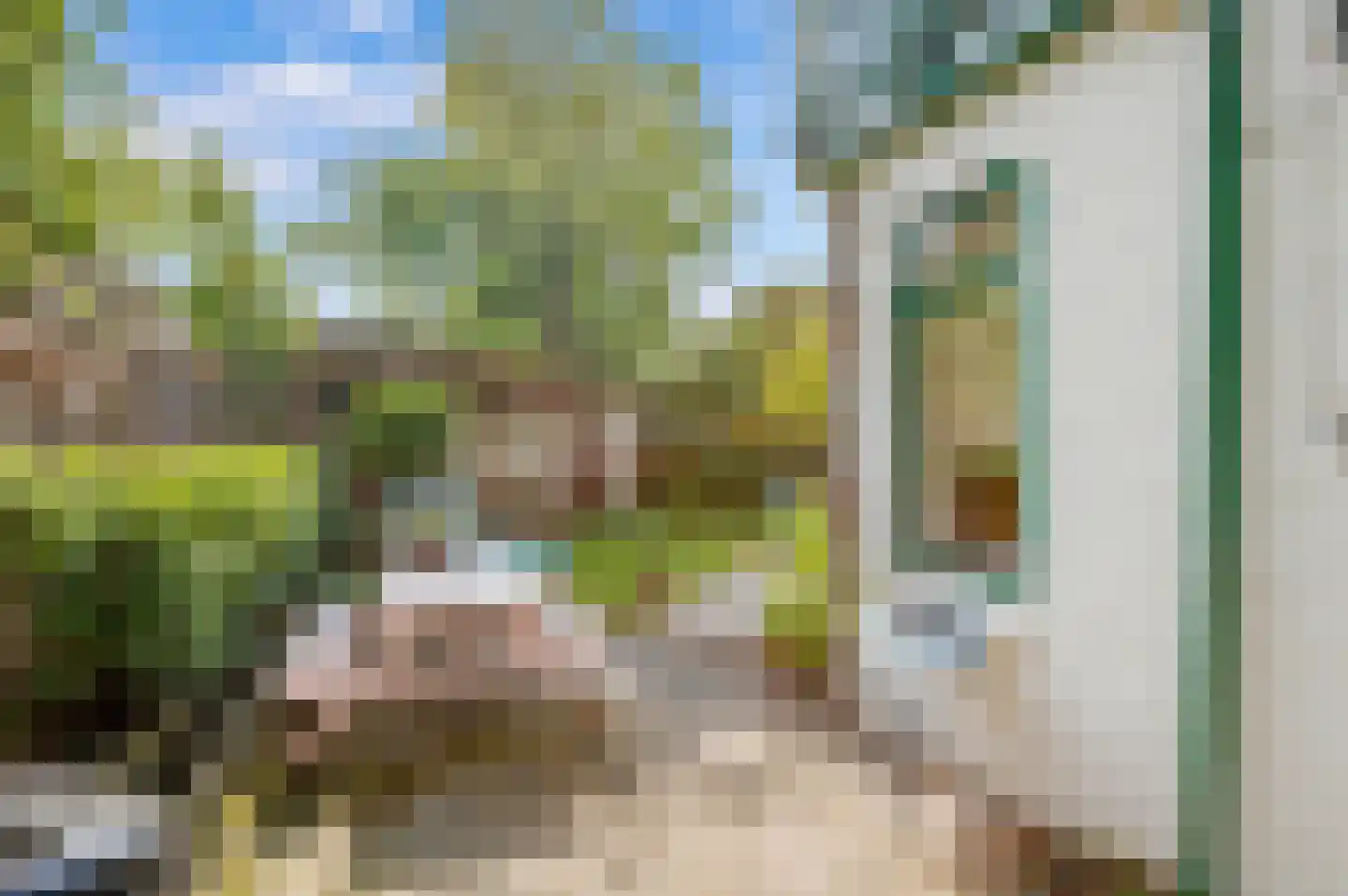 Nachtegaalplein 22 Den Haag thumbnail 28