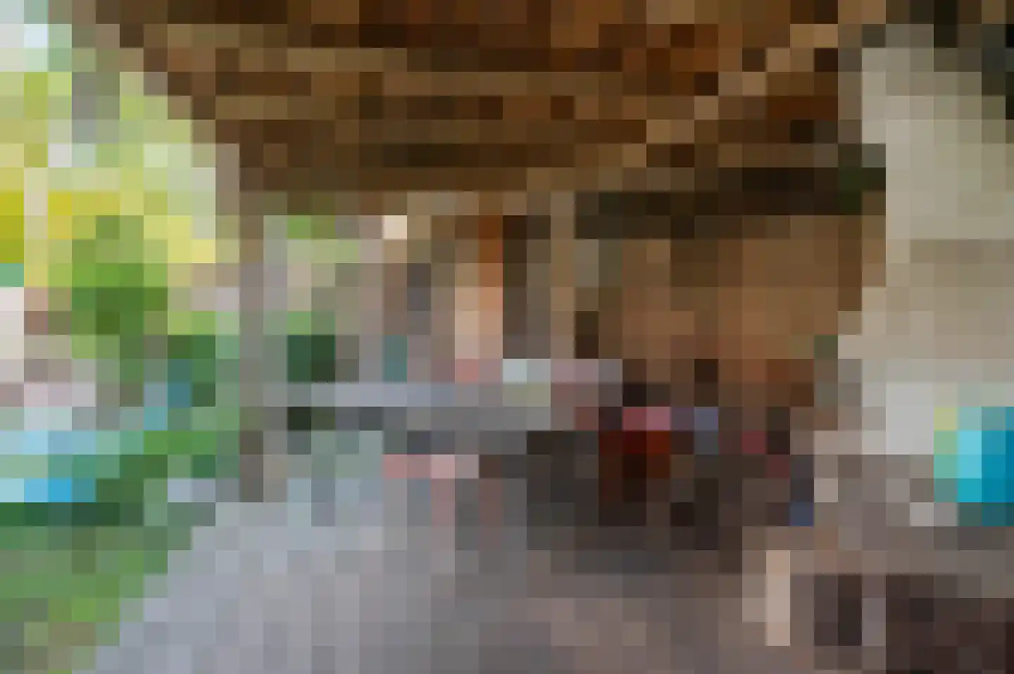 Nachtegaalplein 22 Den Haag thumbnail 31