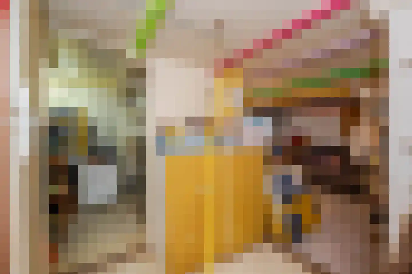 Nachtegaalplein 22 Den Haag thumbnail 61