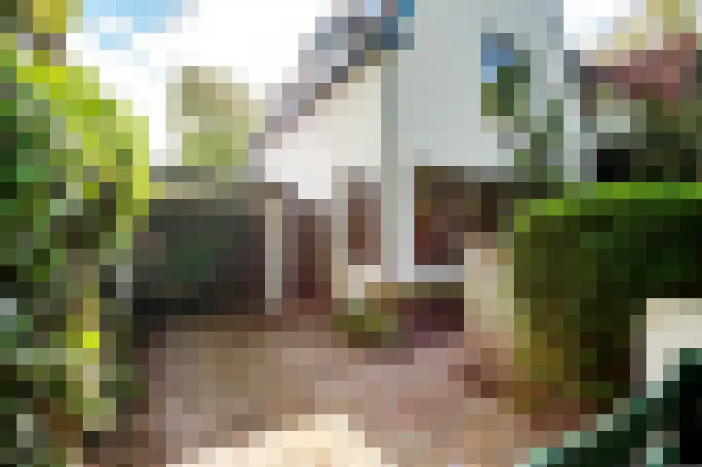 Nachtegaalplein 22 Den Haag thumbnail 63