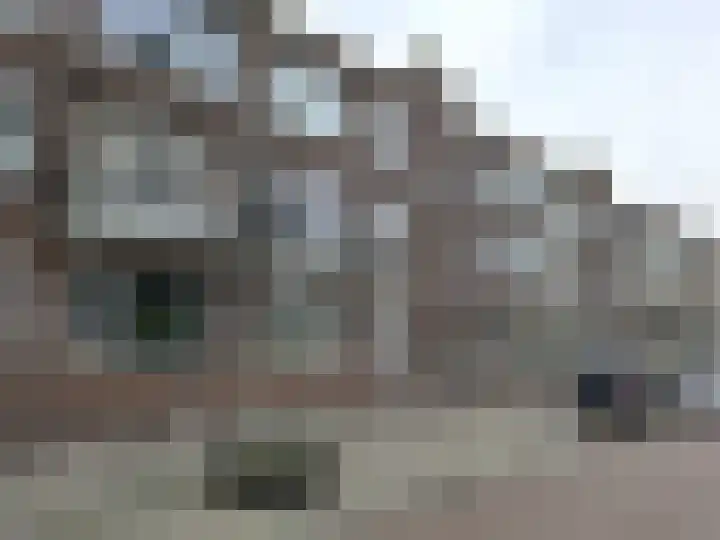 Nachtegaalplein 3 A in Rotterdam