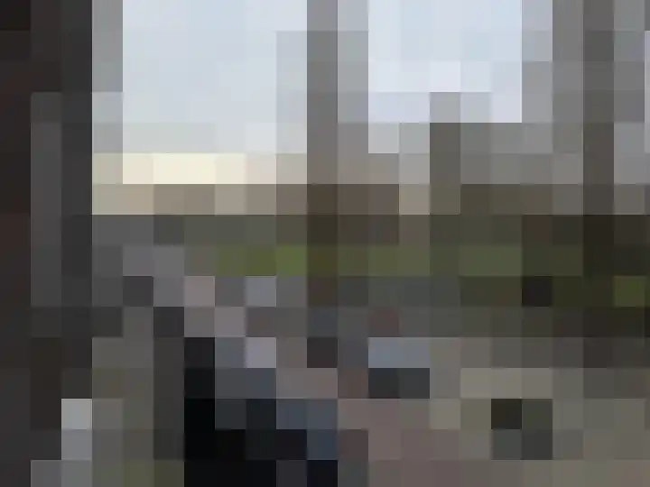 Nachtegaalplein 3 A Rotterdam thumbnail 10