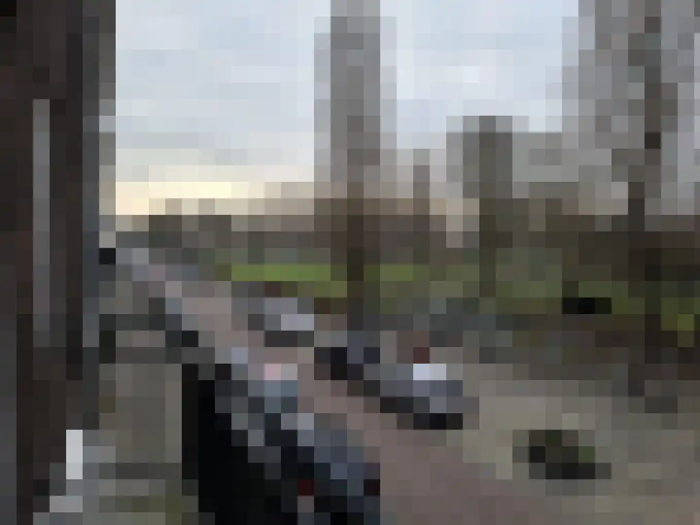 Nachtegaalplein 3 A Rotterdam thumbnail 10