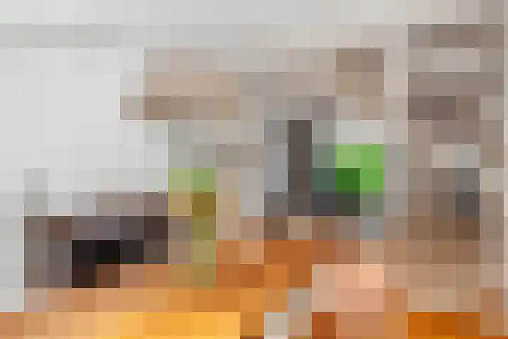 Nachtegaalplein 3 A Rotterdam thumbnail 12