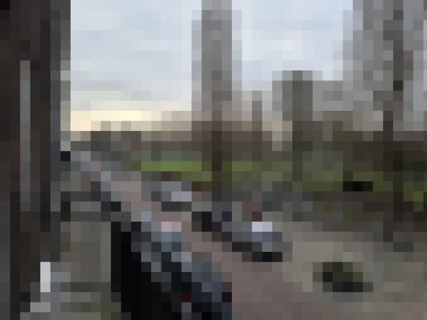 Nachtegaalplein 3 B Rotterdam thumbnail 10