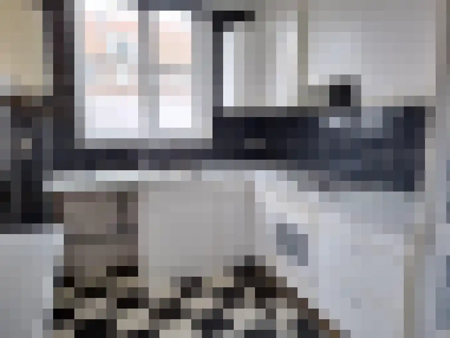 Nachtegaalplein 3 B Rotterdam thumbnail 6