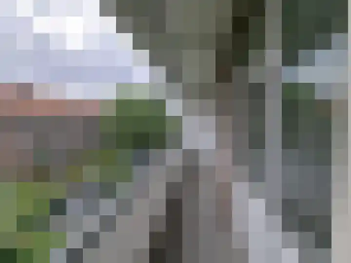 Nachtegaalplein 4 A Rotterdam thumbnail 13