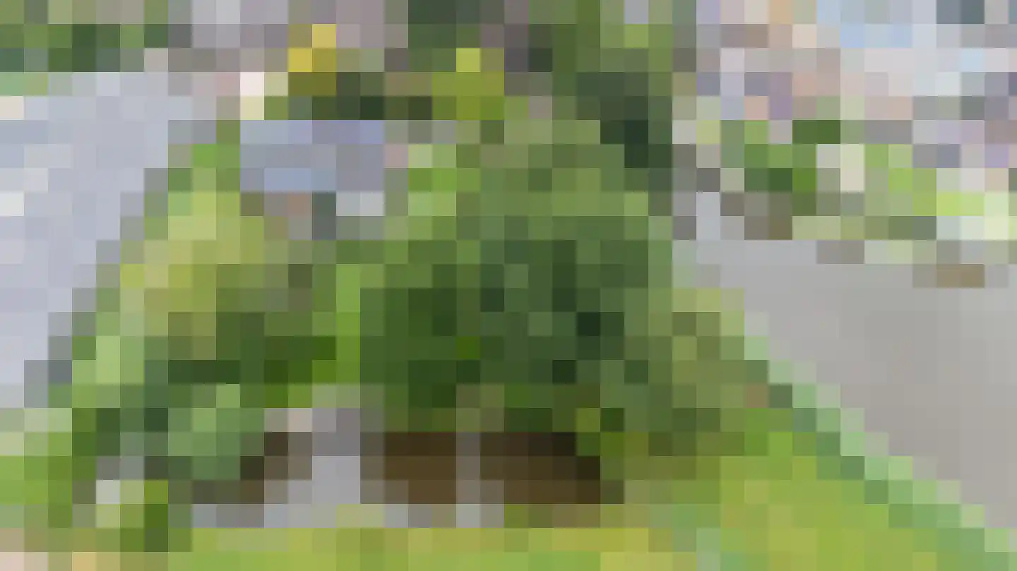 Nachtegaalspad 4 A Woerdense Verlaat thumbnail 30
