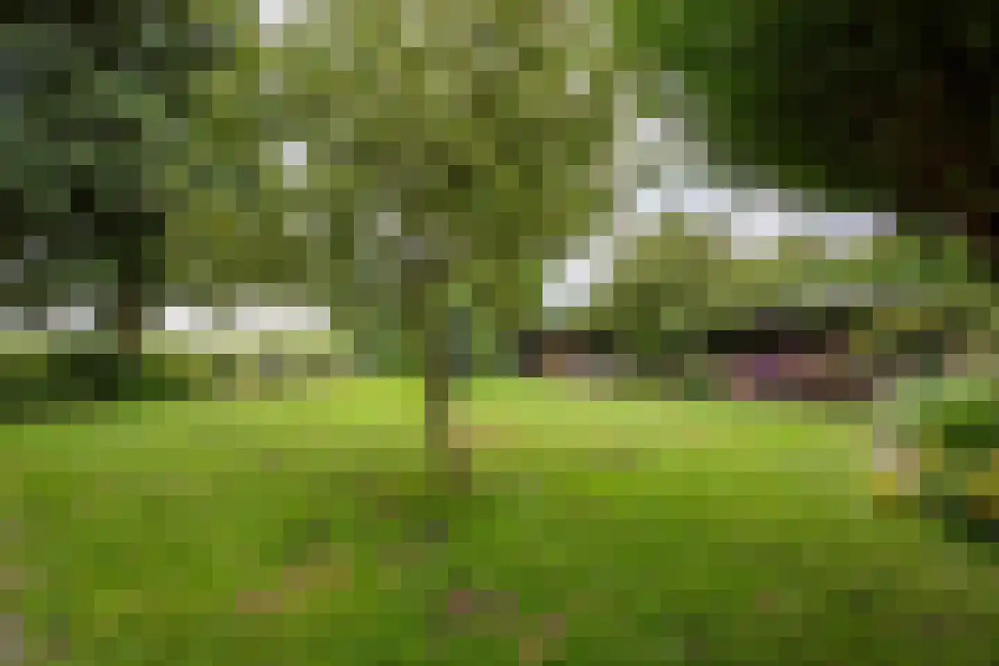 Nachtegaalspad 4 A Woerdense Verlaat thumbnail 32