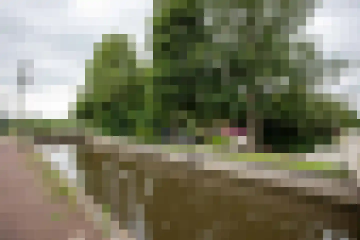 Nachtegaalspad 4 A Woerdense Verlaat thumbnail 40