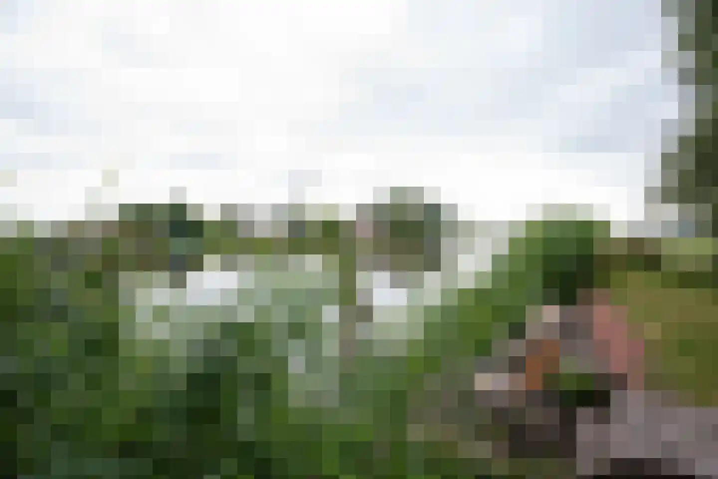 Nachtegaalspad 4 A Woerdense Verlaat thumbnail 41