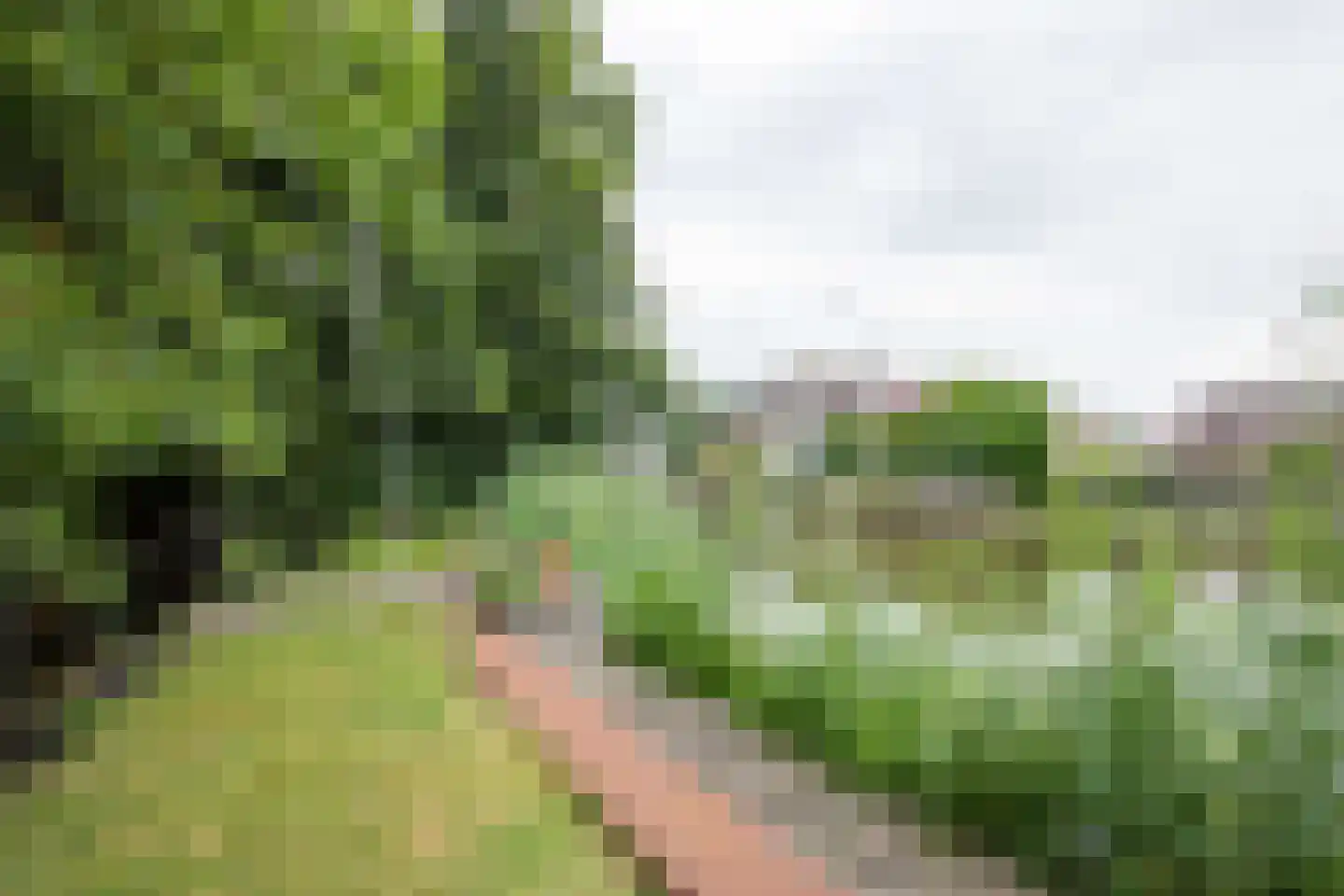 Nachtegaalspad 4 A Woerdense Verlaat thumbnail 42