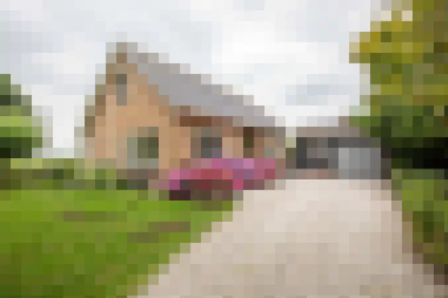 Nachtegaalspad 4 A Woerdense Verlaat thumbnail 45