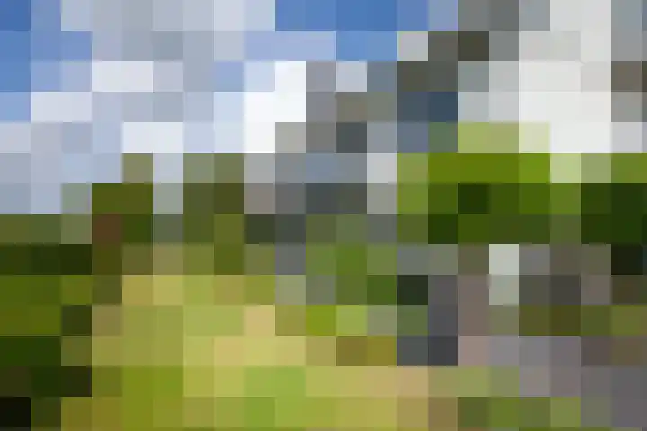 Nachtegaalspad 9 Woerdense Verlaat thumbnail 11