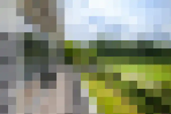 Nachtegaalspad 9 Woerdense Verlaat thumbnail 13