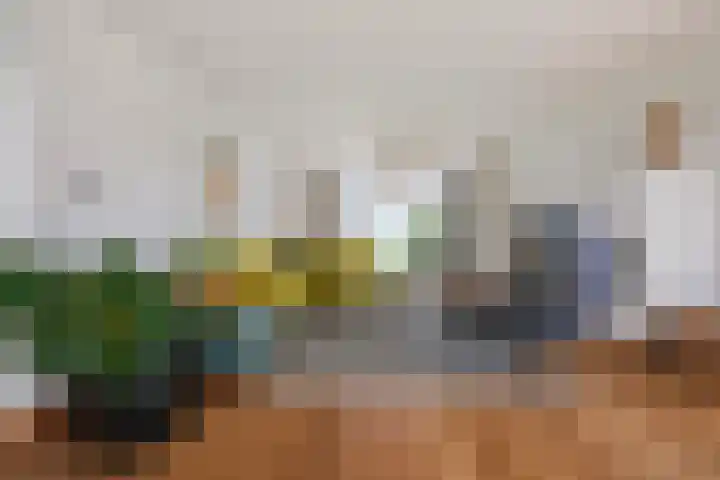 Nachtegaalspad 9 Woerdense Verlaat thumbnail 20