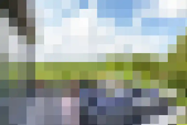 Nachtegaalspad 9 Woerdense Verlaat thumbnail 24