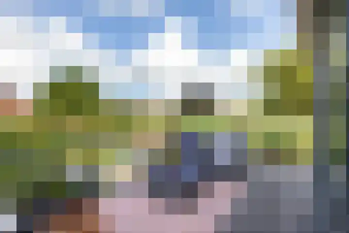 Nachtegaalspad 9 Woerdense Verlaat thumbnail 25