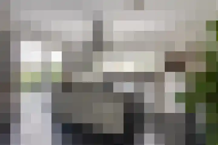 Nachtegaalspad 9 Woerdense Verlaat thumbnail 28